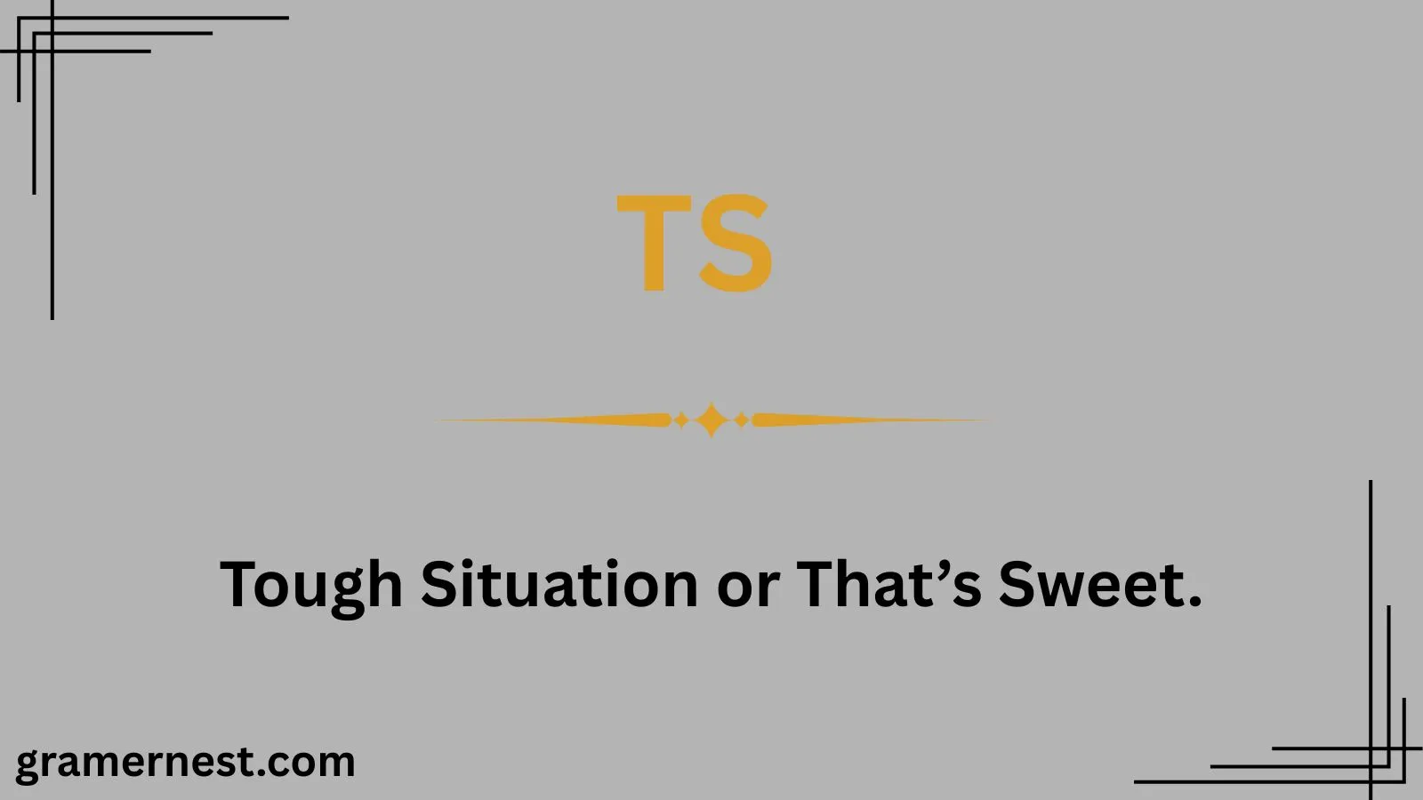 What Does TS Mean in Text