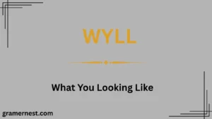 WYLL Mean in Text