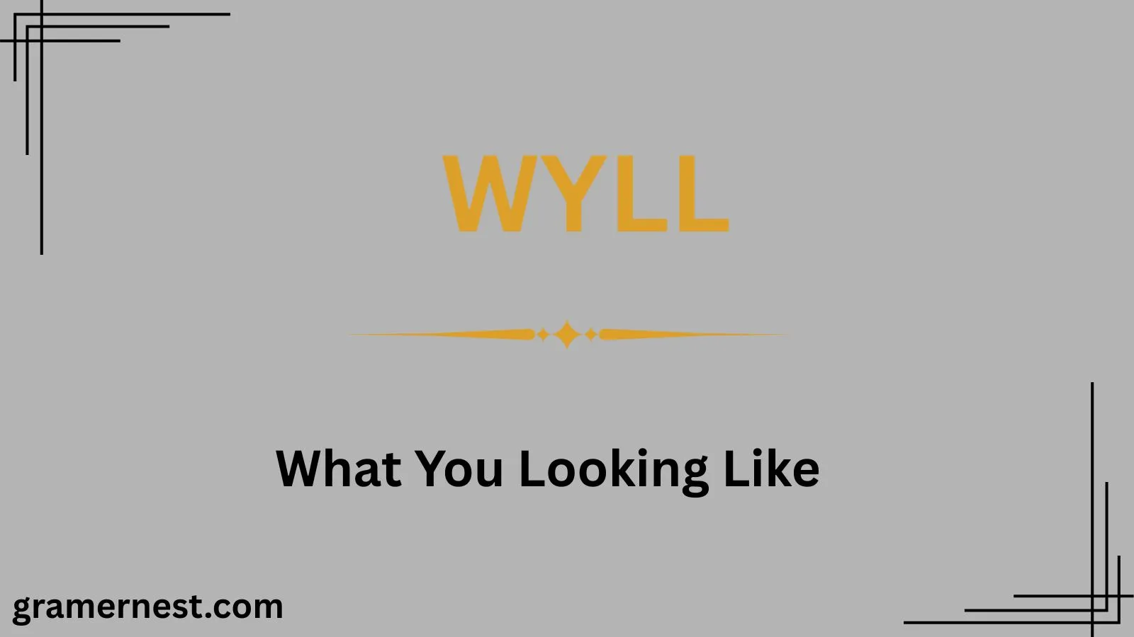WYLL Mean in Text