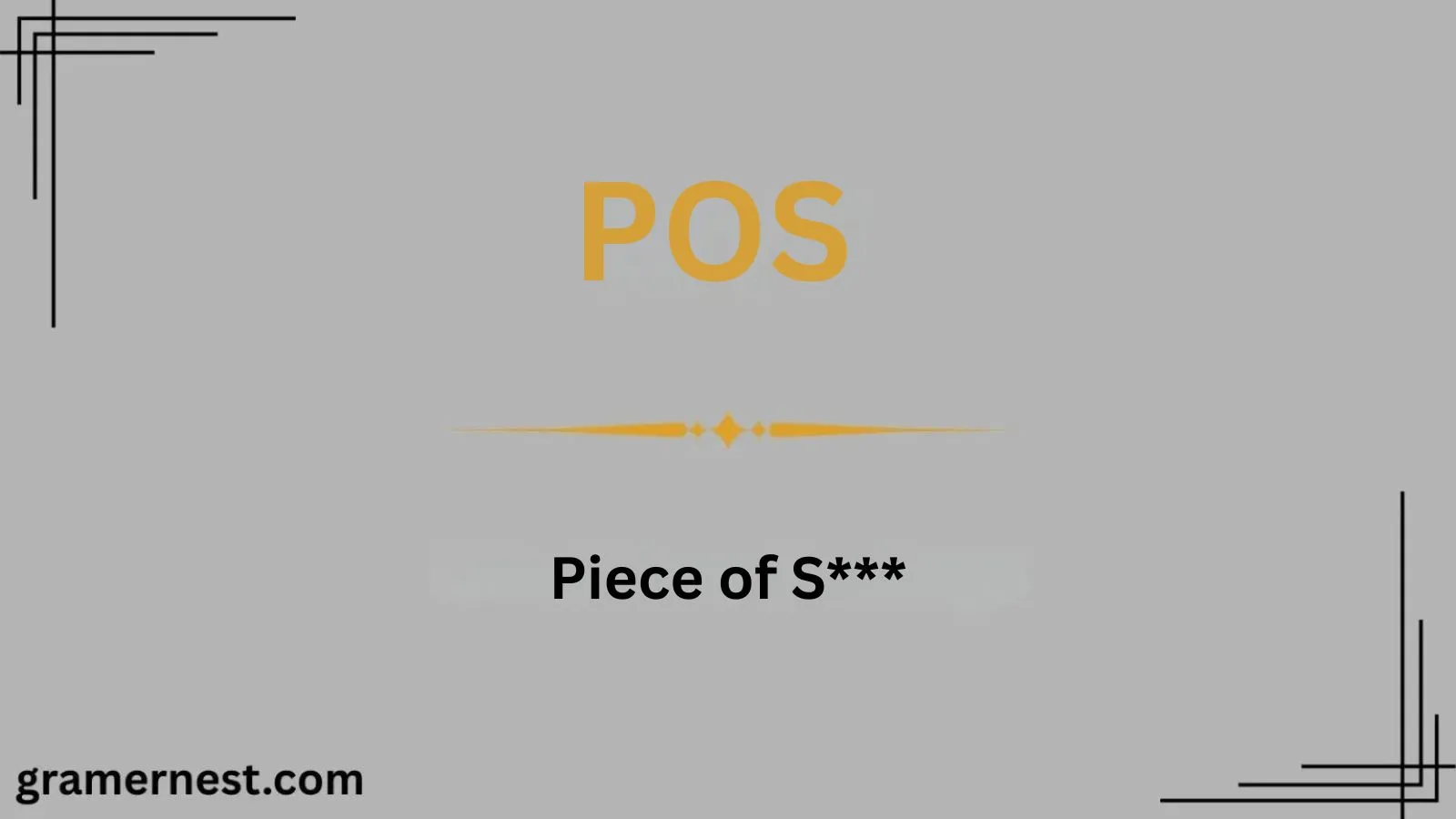 POS Mean in Text