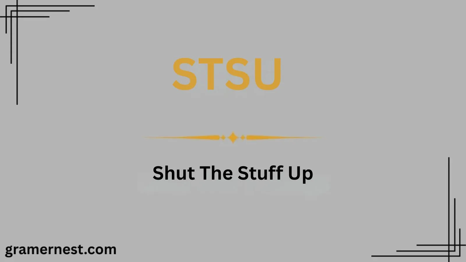 STSU Mean in Text