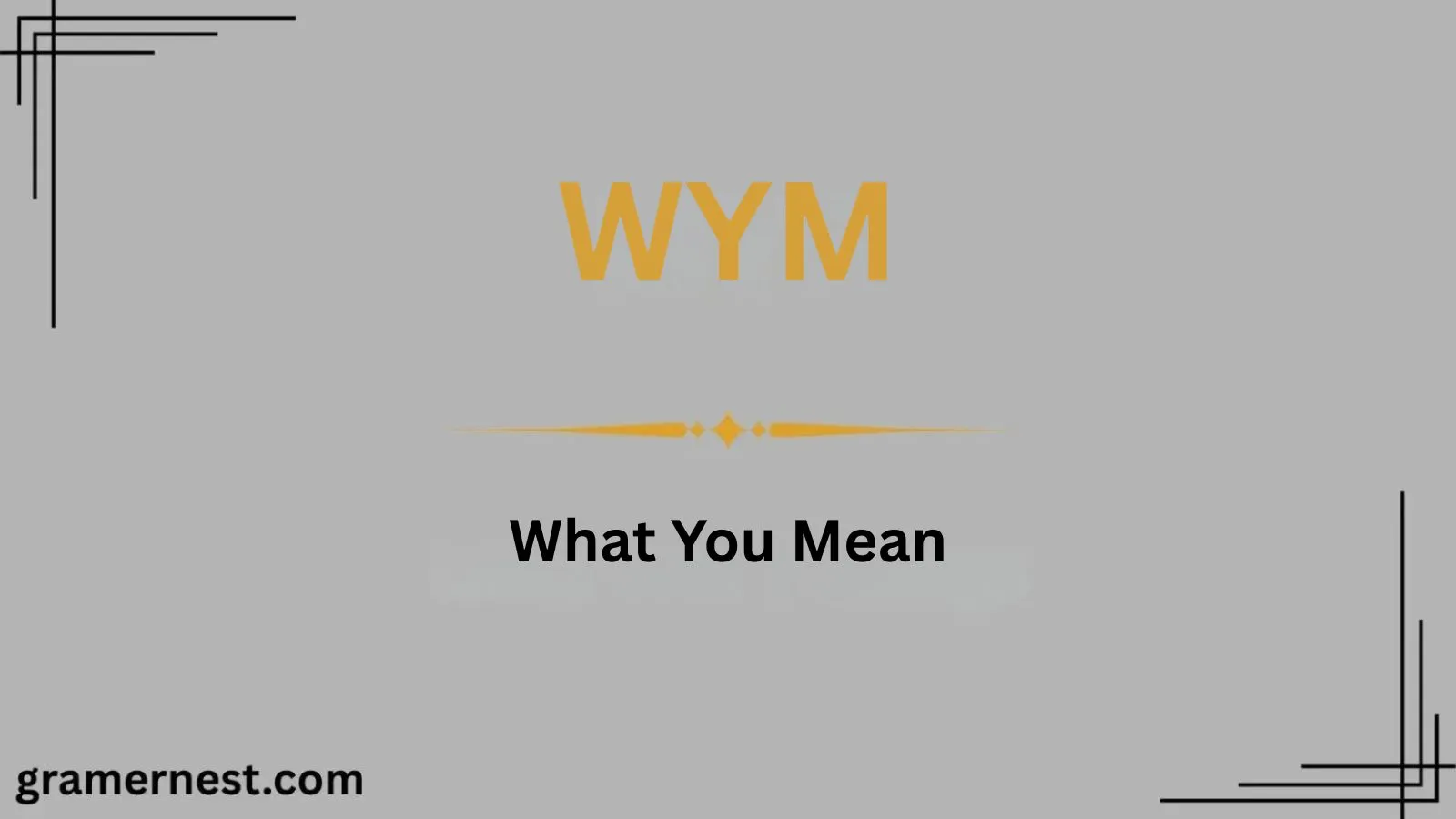 WYM Mean in Text