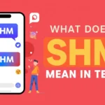 What Does SHM Mean in Text