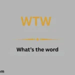 WTW Meaning in Text